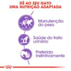 Ração Úmida Royal Canin Patê Para Gatos Adultos Castrados - 85G