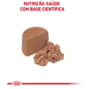 Ração Úmida Royal Canin Recovery Para Cães E Gatos - 195G