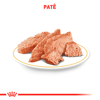 Ração Úmida Royal Canin Renal Para Cães Adultos - 410G