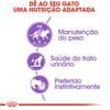 Ração Úmida Royal Canin Sterilised Para Gatos Adultos - 85G