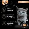Ração Úmida Sheba Carne Ao Molho Para Gatos Filhotes - 85G Sachê
