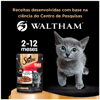Ração Úmida Sheba Carne Ao Molho Para Gatos Filhotes - 85G Sachê