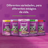 Ração Úmida Whiskas Carne Ao Molho Para Gatos Adultos Castrados - 85G
