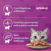 Ração Úmida Whiskas Carne Ao Molho Para Gatos Adultos Castrados - 85G