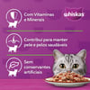 Ração Úmida Whiskas Carne Jelly Para Gatos Adultos - 85G
