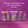 Ração Úmida Whiskas Frango Ao Molho Para Gatos Filhotes - 85G