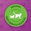 Ração Úmida Whiskas Frango Ao Molho Para Gatos Filhotes - 85G