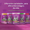 Ração Úmida Whiskas Frango Para Gatos Adultos - 85G - 1 Unidade