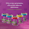 Ração Úmida Whiskas Patê De Atum Para Gatos Adultos - 290G