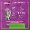 Ração Úmida Whiskas Sachê Carne Ao Molho Para Gatos Filhotes - 85G