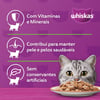 Ração Úmida Whiskas Salmão Ao Molho Para Gatos Adultos - 85Glach