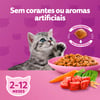 Ração Whiskas Filhotes Carne E Leite - 2,7Kg - 500 Gramas