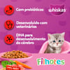 Ração Whiskas Filhotes Carne E Leite - 2,7Kg - 500 Gramas