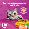 Ração Whiskas Frango Para Gatos Adultos - 10.1Kg - 900 Gramas
