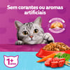Ração Whiskas Gatos Adultos Castrados Sabor Carne - 500G - 500 Gramas