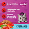 Ração Whiskas Gatos Adultos Castrados Sabor Carne - 500G - 500 Gramas