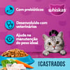 Ração Whiskas Gatos Adultos Castrados Sabor Peixe - 2,7Kg - 900 Gramas