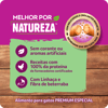 Ração Whiskas Gatos Adultos Melhor Por Natureza Frango 2,7Kg - 2,7 Kilos