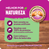 Ração Whiskas Melhor Por Natureza Salmão Para Gatos Adultos - 900G - 900 Gramas