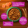 Ração Whiskas Melhor Por Natureza Salmão Para Gatos Adultos - 900G - 900 Gramas