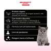 Shampoo 2 Em 1 Hello Kitty Chococat Para Gatos - 300Ml