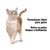 Shampoo 2 Em 1 Pet Clean Para Gatos - 700Ml