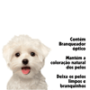 Shampoo Clareador Pet Clean 2 Em 1 Para Cães E Gatos - 700Ml - 700 Mililitros