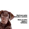 Shampoo E Condicionador 2 Em 1 Pet Clean Filhotes Para Cães E Gatos - 700Ml - 700 Mililitros