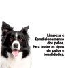 Shampoo E Condicionador Neutro Pet Clean Para Cães E Gatos - 700Ml - 700 Mililitros