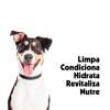 Shampoo E Condicionador Pet Clean 5 Em 1 Para Cães E Gatos - 700Ml
