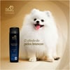 Shampoo Hydra Pelo Claro Pet Society - 300Ml
