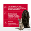 Shampoo Skin Balance Soft Care Para Pele Oleosa E Com Descamação Para Cães E Gatos - 300Ml