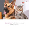 Spray Calmante Soft Care Stress Away Para Cães E Gatos - 100Ml