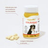 Suplemento Colágeno Organnact Dog Tabs - 60 Tabletes