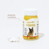Suplemento Condrix Dog Tabs Organnact 1200Mg Para Cães - 60 Tabletes