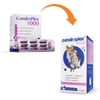 Suplemento Condroplex 1000 Avert Para Cães E Gatos - 60 Cápsulas