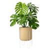 Suporte Para Vasos Urban Branco Gg