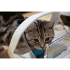 Sure Petcare Comedouro Inteligente Para Cães E Gatos - 240Ml, 1 Unidade