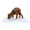 Tapete Higiênico Blue Slim 60X90Cm Cães - 30 Unidades