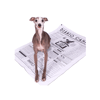 Tapete Higiênico Lavável Bartô Diário Para Cães Médios - 1 Unidade - Tamanho M