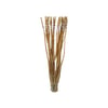 Tutor De Bambu Top Garden 1M - 1 Unidade