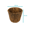 Vaso De Fibra De Coco Coquim Nº 3