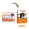 Vermífugo Canex Premium 3,6G Para Cães Até 40Kg - 2 Comprimidos