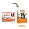 Vermífugo Canex Premium 900Mg Para Cães Até 10Kg - 4 Comprimidos