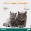 Vermífugo Drontal Para Gatos Até 4Kg - 4 Comprimidos