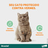 Vermífugo Drontal Para Gatos Até 4Kg - 4 Comprimidos
