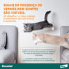 Vermífugo Drontal Para Gatos Até 4Kg - 4 Comprimidos