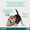Vermífugo Drontal Plus Para Cães Até 10Kg Sabor Carne - 2 Comprimidos