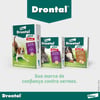 Vermífugo Drontal Plus Para Cães Até 35Kg Sabor Carne - 2 Comprimidos