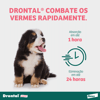 Vermífugo Drontal Puppy Para Cães - 20Ml Suspensão - 20 Mililitros